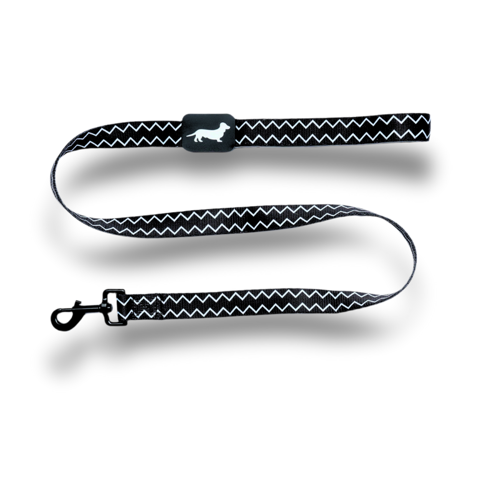 Lunatch Dog Leash - Mayan