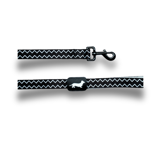 Lunatch Dog Leash - Mayan
