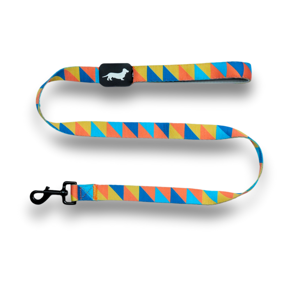 Lunatch Dog Leash - Mosaic