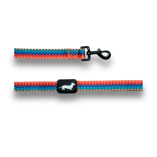 Lunatch Dog Leash - Celestial