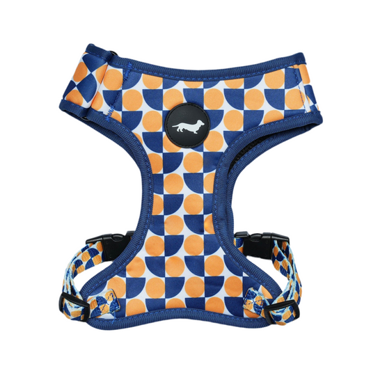 Lunatch Neoprene Harness