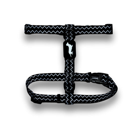 Lunatch H Harness - Mayan