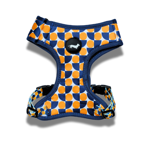 Lunatch Neoprene Harness