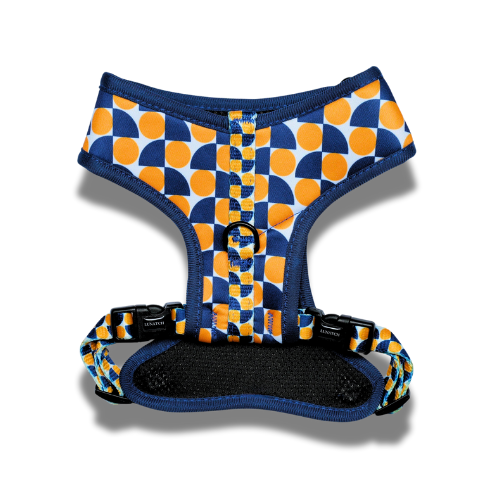 Lunatch Neoprene Harness