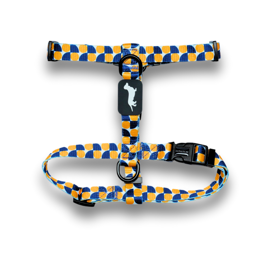 Lunatch H Harness - Sunstone
