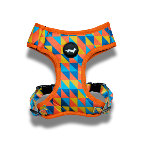 Lunatch Neoprene Harness