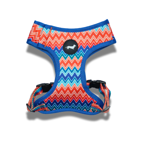 Lunatch Neoprene Harness