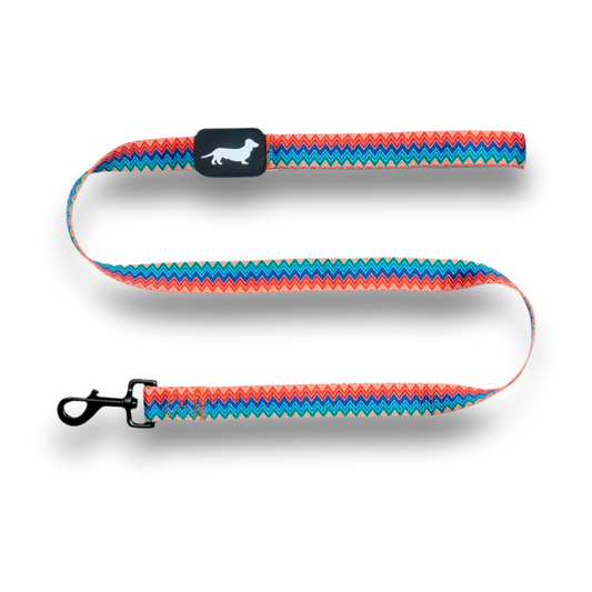 Lunatch Dog Leash - Celestial