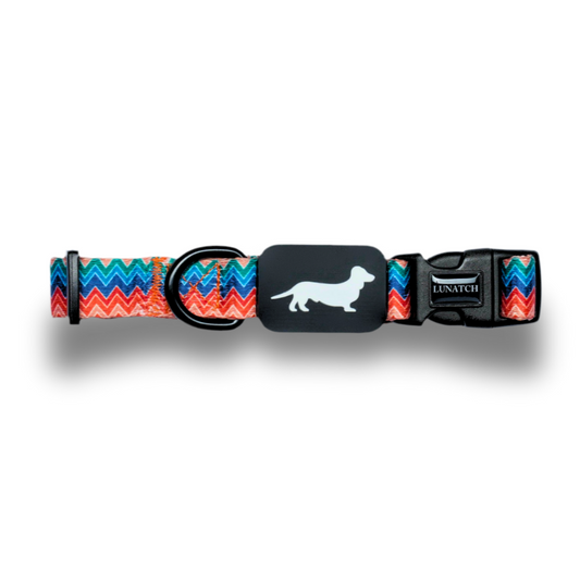 Lunatch Dog Collar - Celestial