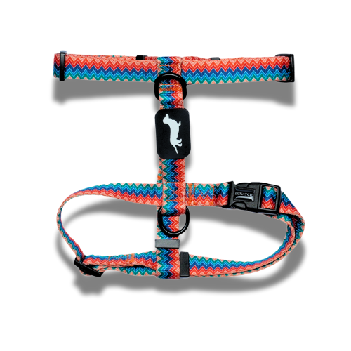 Lunatch H-Harness