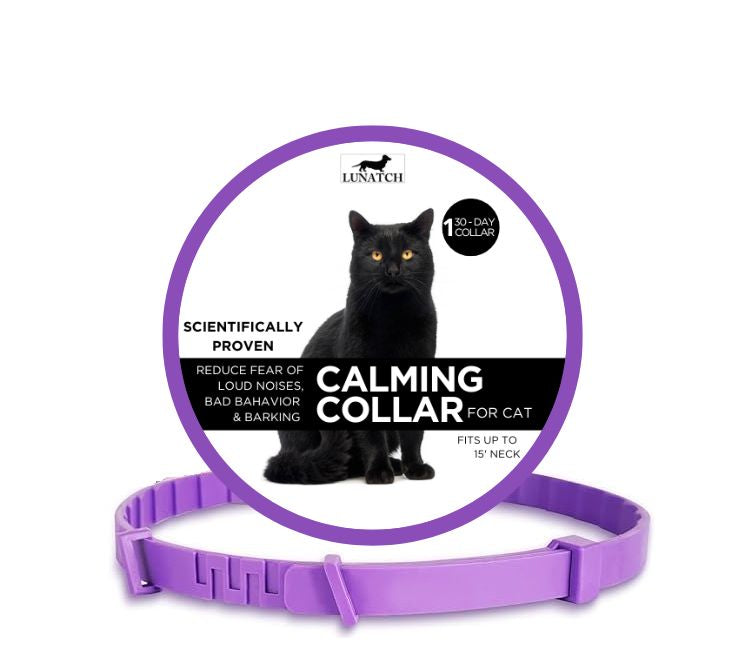 Calming Collar