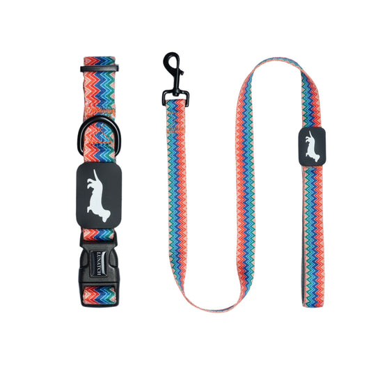 Collar and Leash Bundle