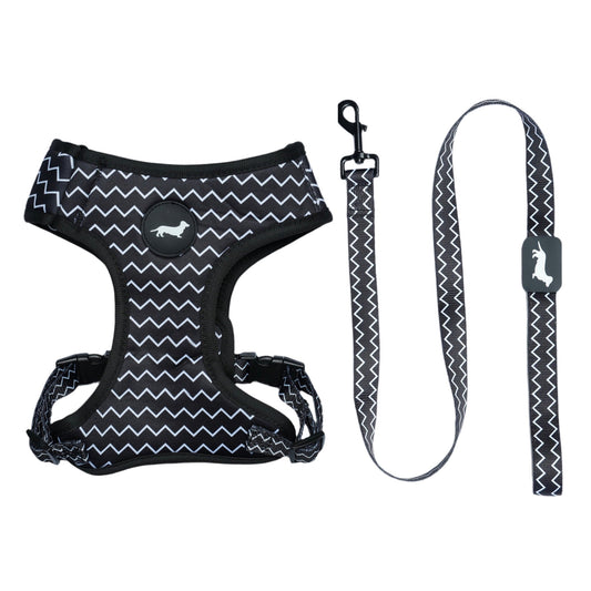 Harness and Leash Bundle