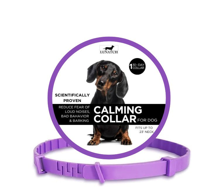 Calming Collar