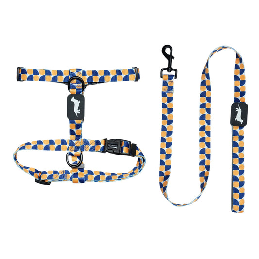 H Harness and Leash Bundle