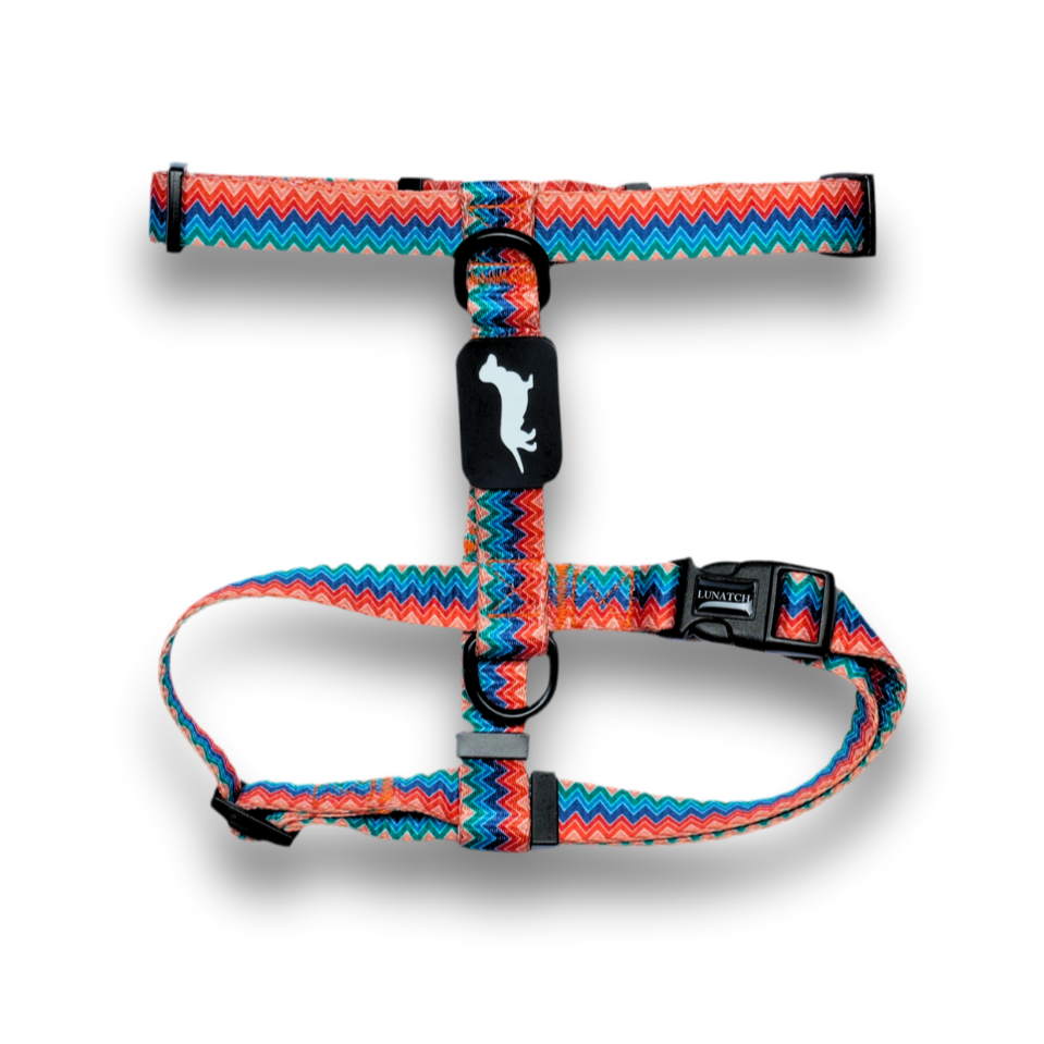 Lunatch H Harness - Celestial